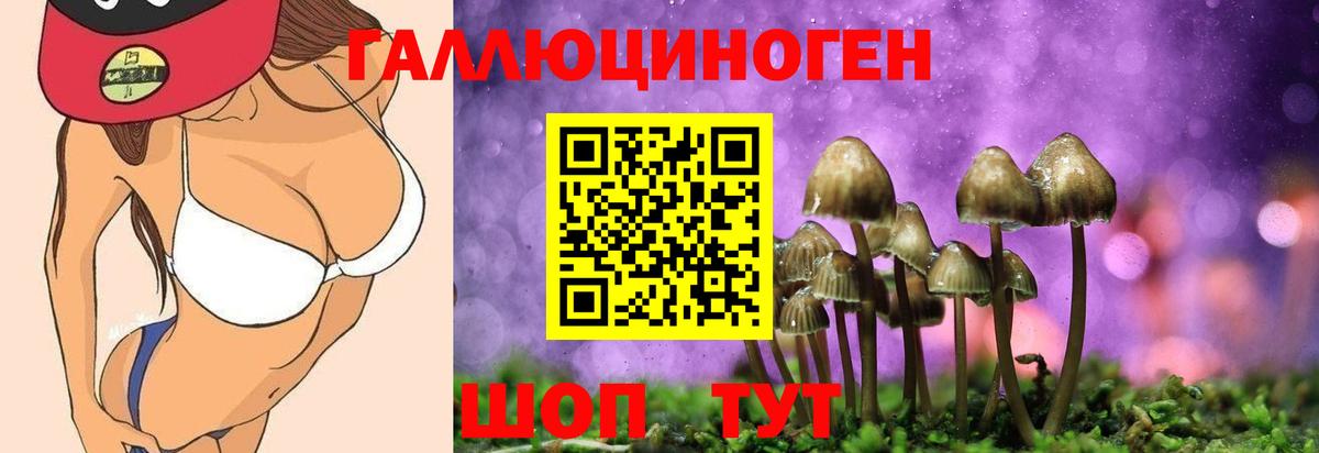 Соликамск  продажа наркотиков  Галлюциногенные грибы GOLDEN TEACHER  Вход с VPN  Псилоцибиновые грибы Magic Shrooms 